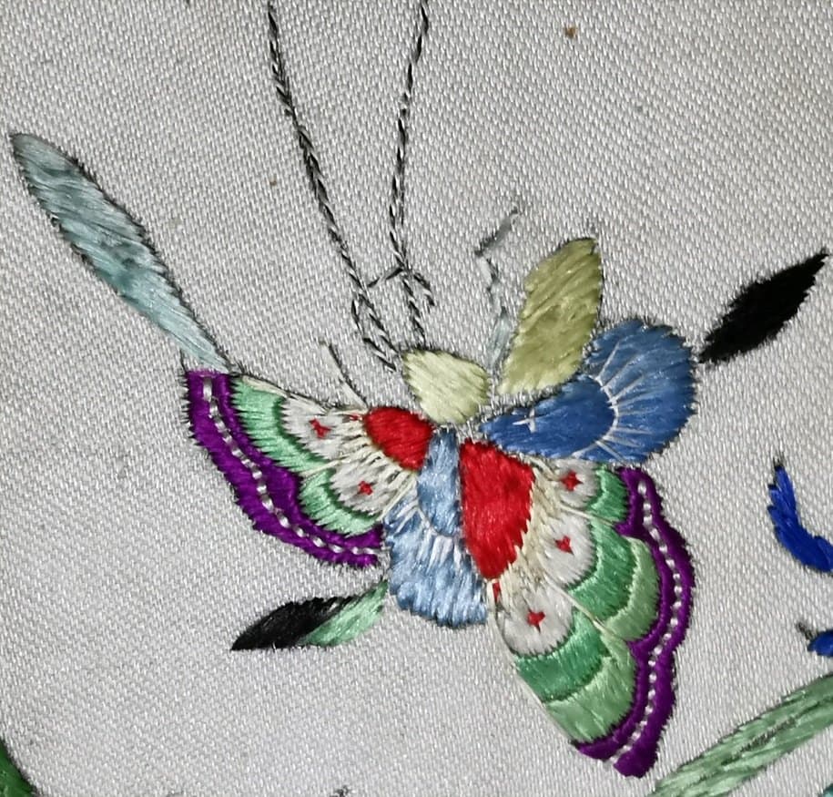 Butterfly (i)