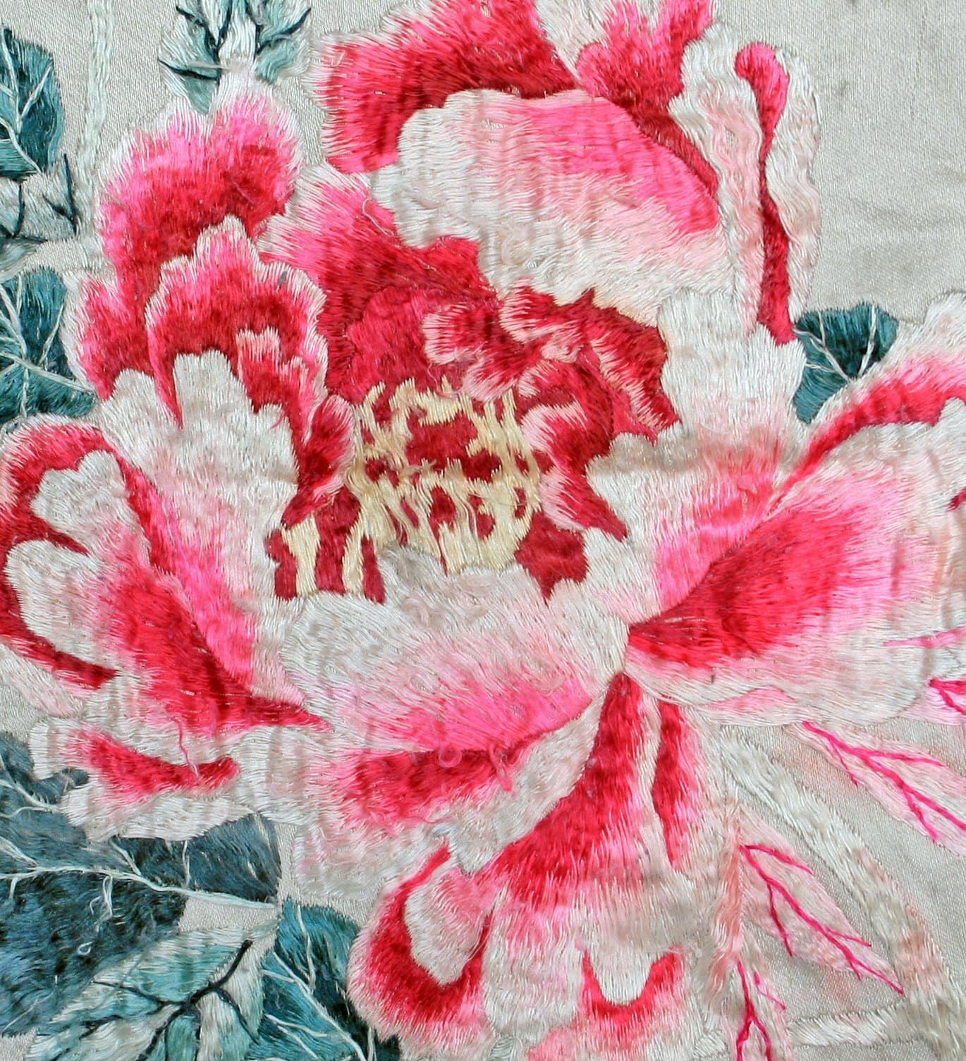 Peony (iii)