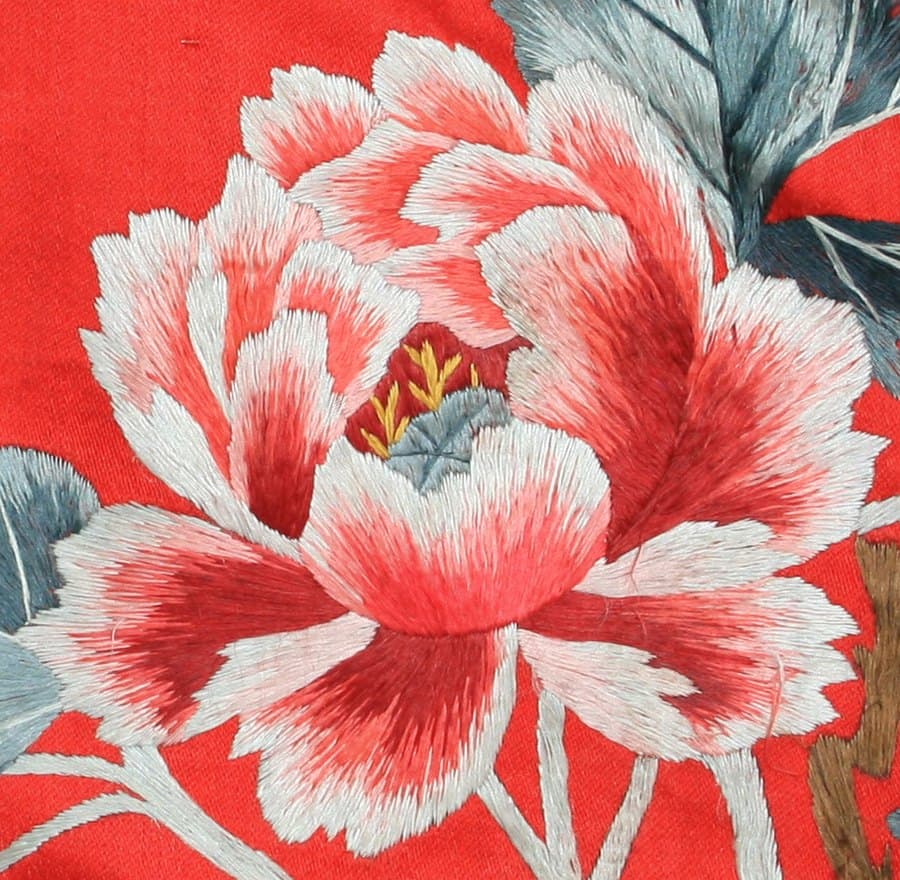 Peony (iv)